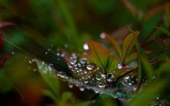 跳躍的水滴：真正的三維熱超導