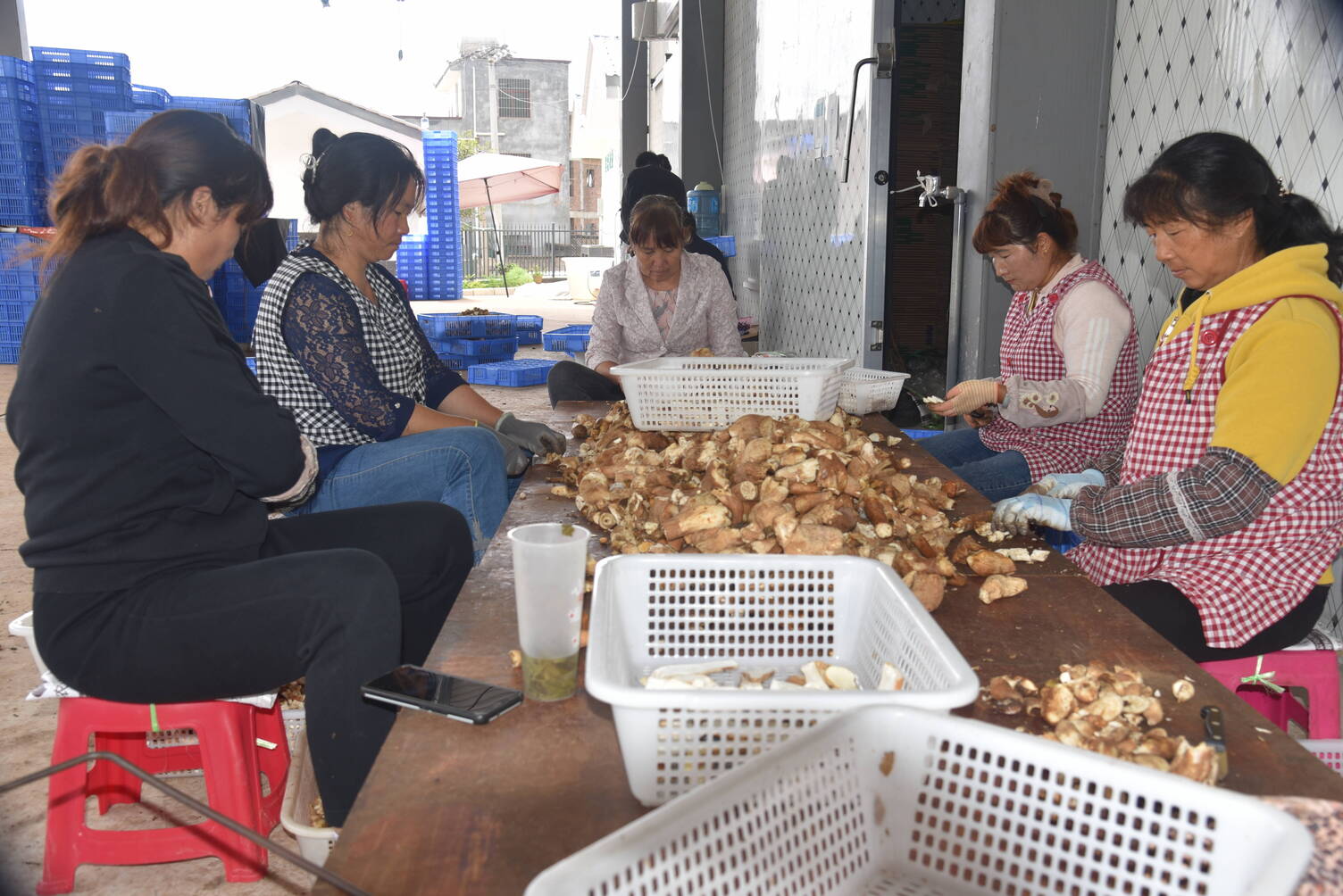 DSC_5319.JPG DSC_5319.JPG