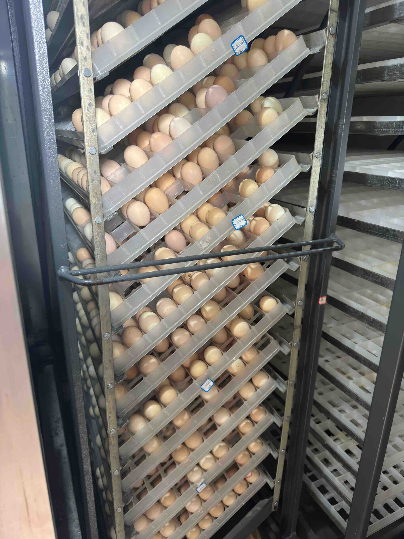 復制圖片 復制圖片