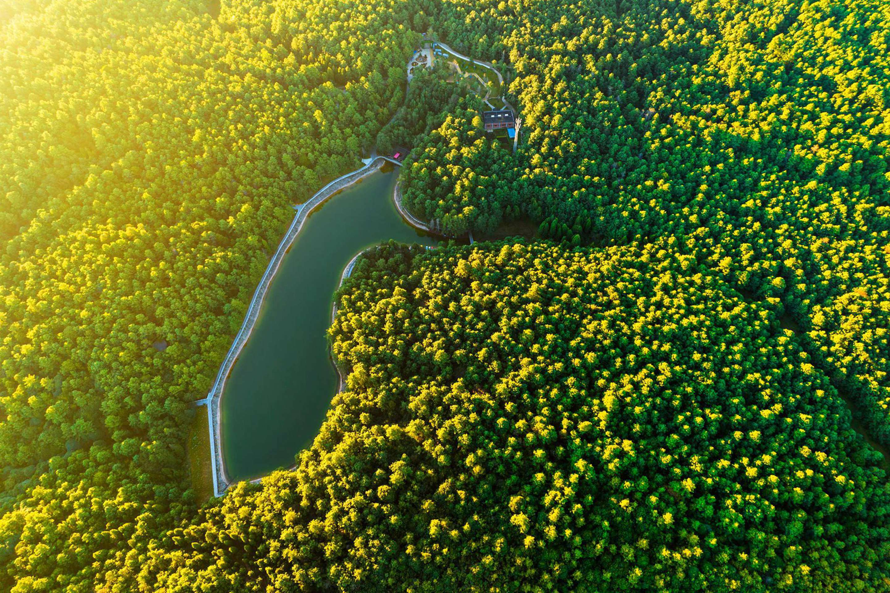 復制圖片 復制圖片
