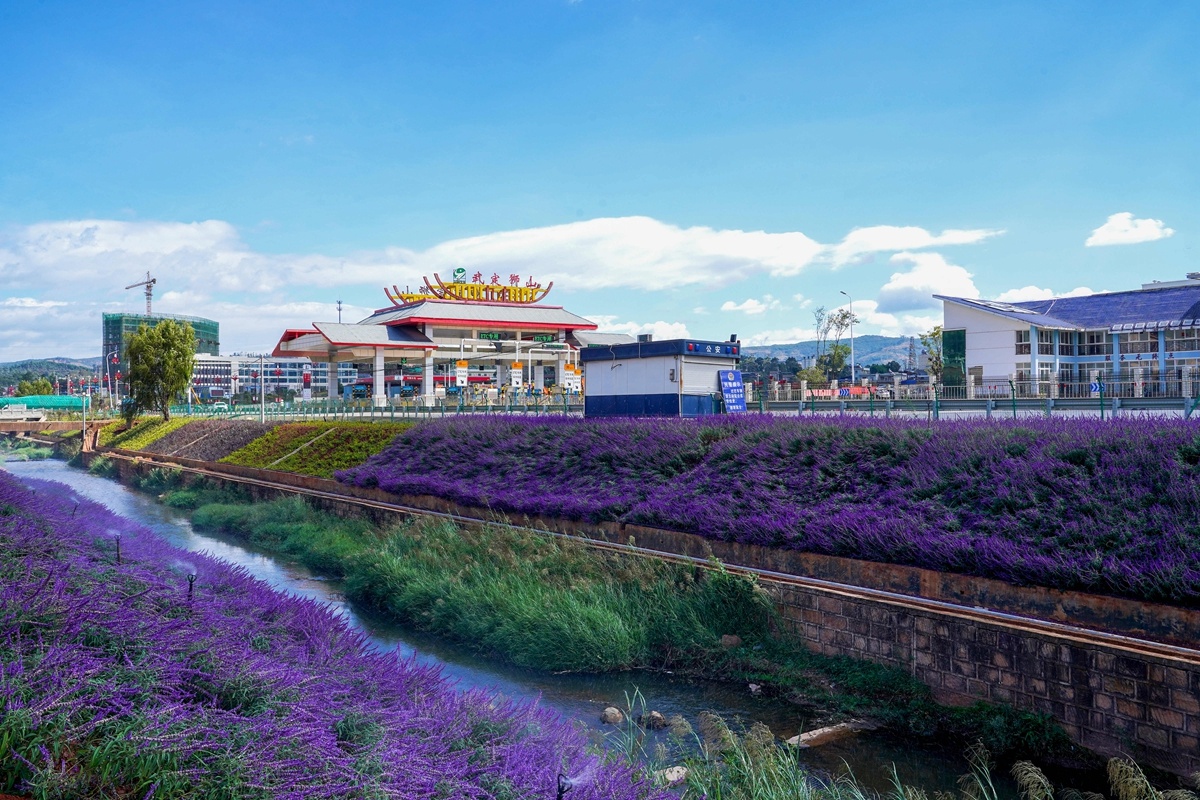 復制圖片 復制圖片