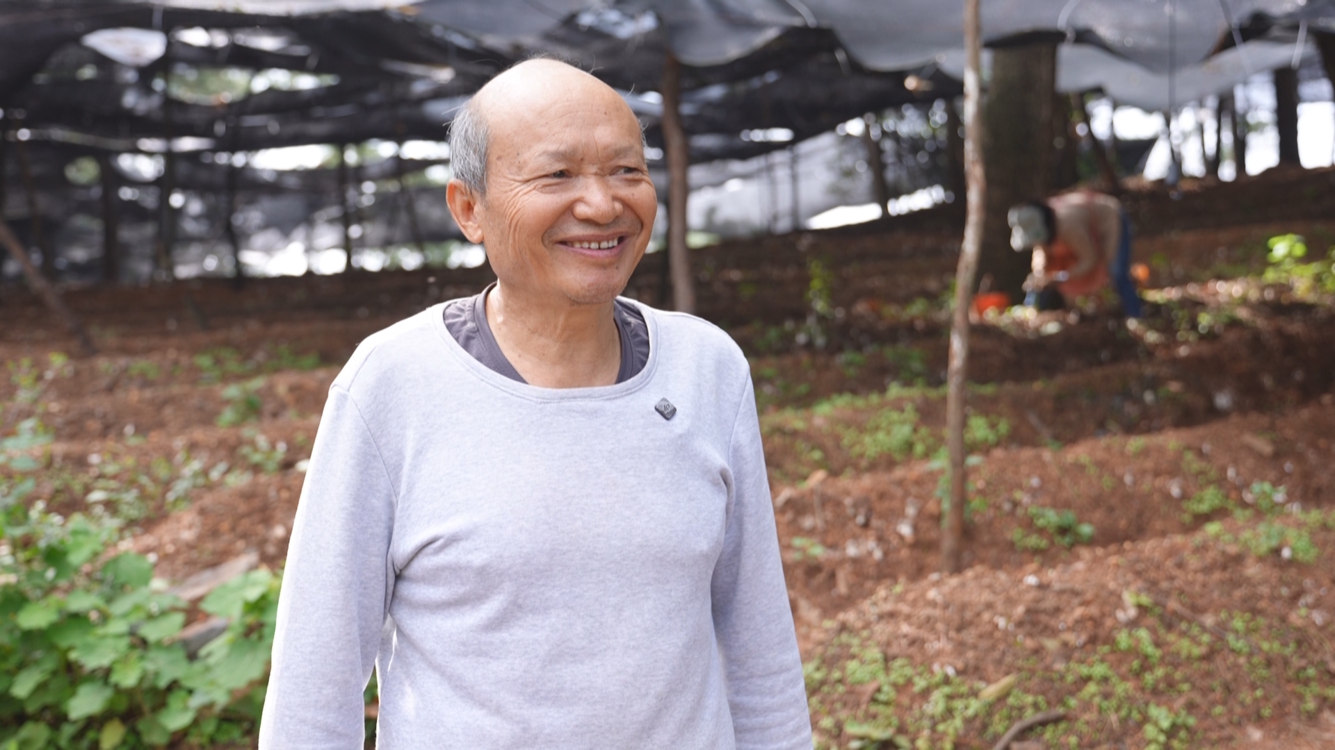 復制圖片 復制圖片