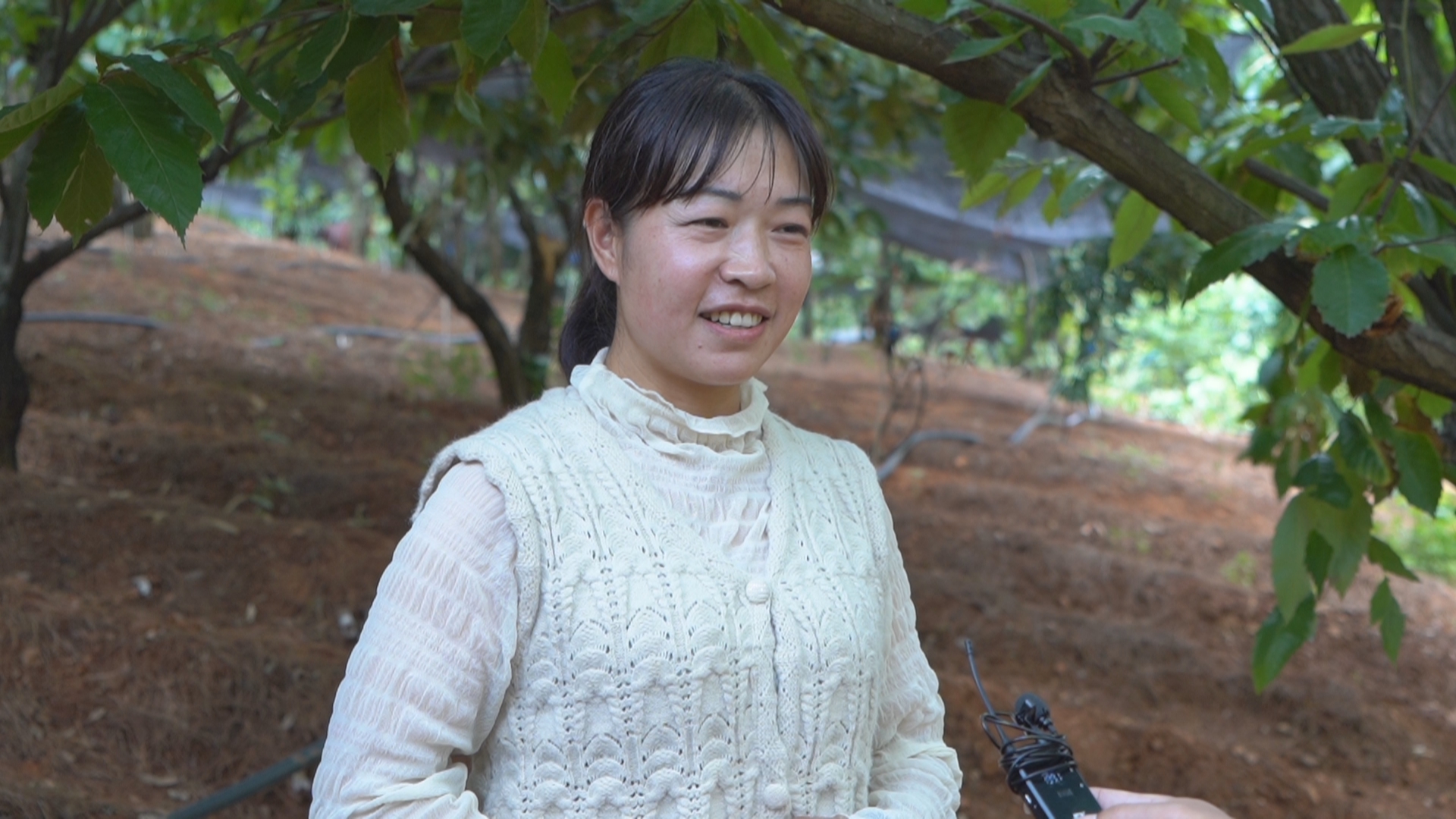 復制圖片 復制圖片